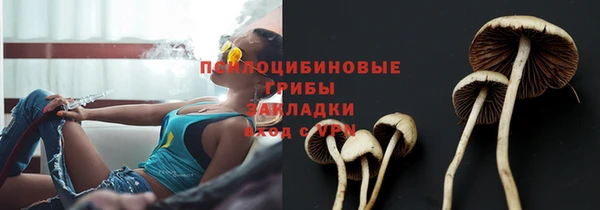 спиды Гусь-Хрустальный
