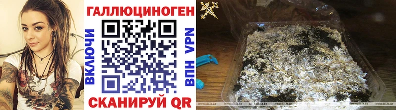 Галлюциногенные грибы ЛСД  Купить где  Елизово 